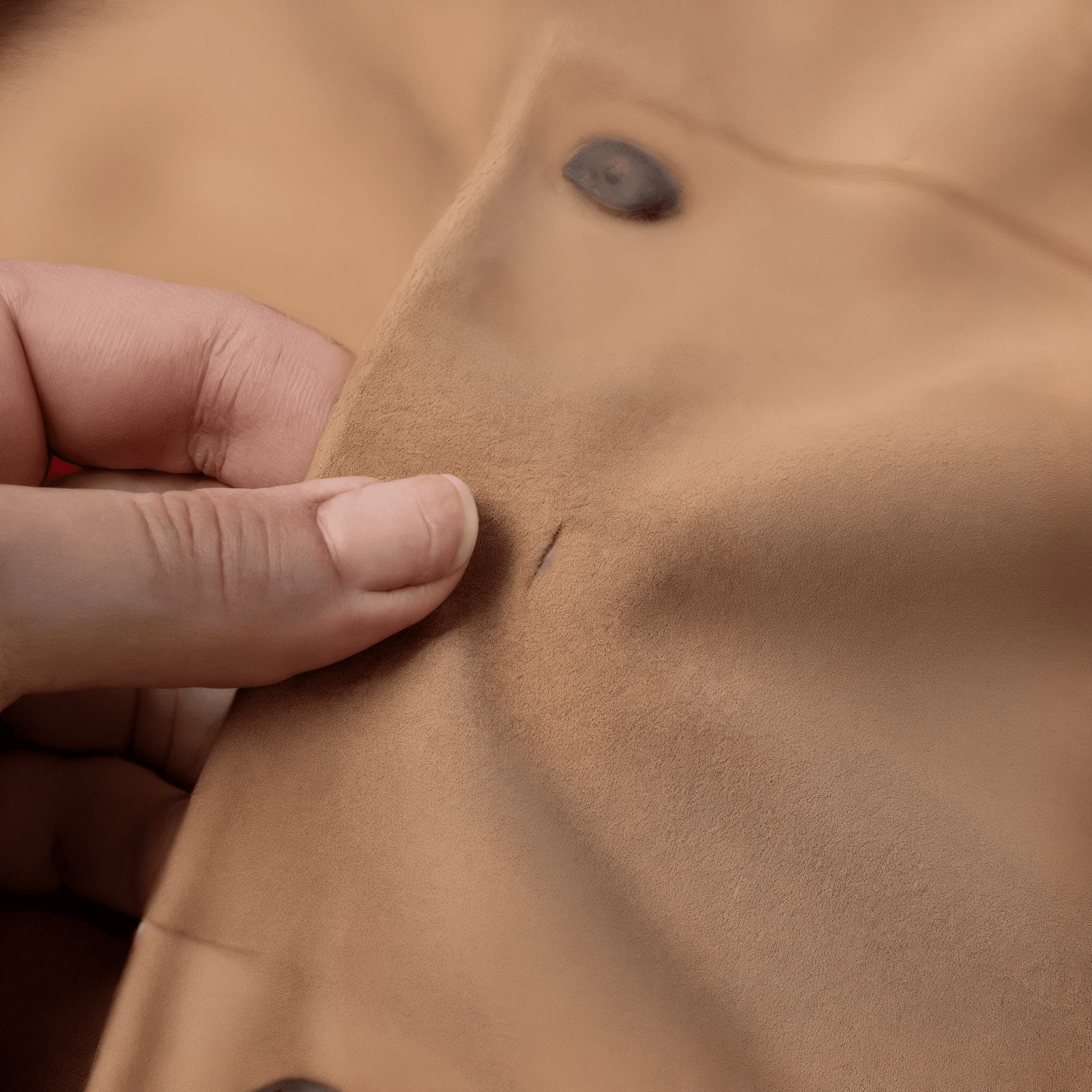 Conjunto Feminino Carmen